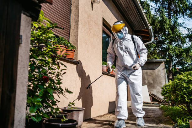 Best Pest Prevention Services  in Humansville, MO