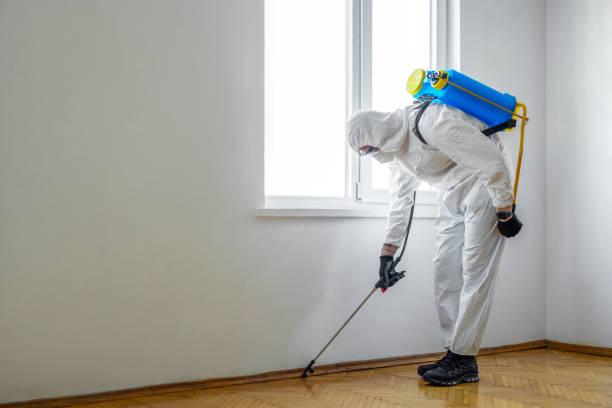 Pest Control for Restaurants in Humansville, MO
