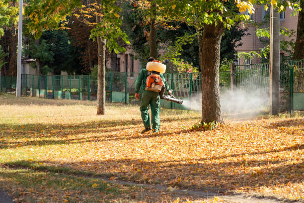 Flea Control Services in Humansville, MO