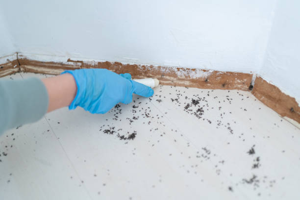 Pest Control for Restaurants in Humansville, MO