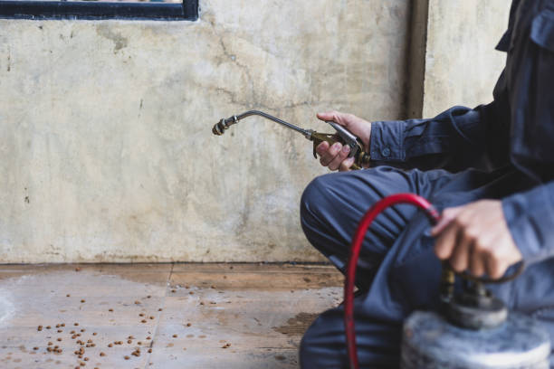 Best Pest Inspection Near Me  in Humansville, MO